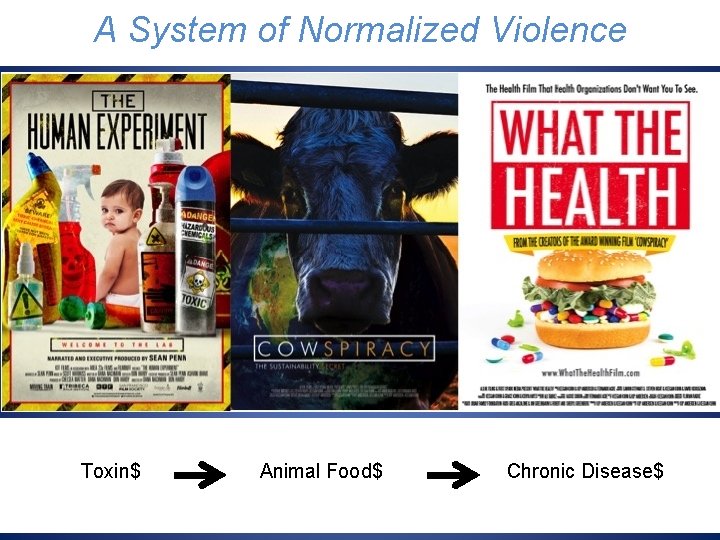 The Artificial Growth Model A System of Normalized Violence Toxin$ Animal Food$ Chronic Disease$