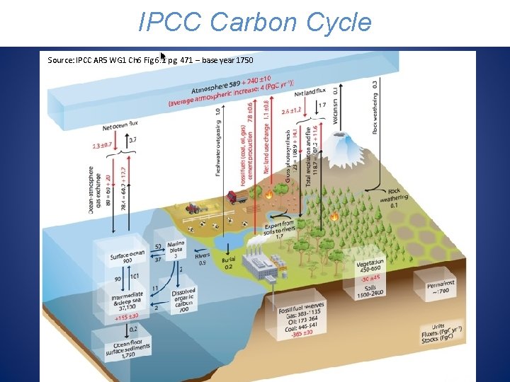 IPCC Carbon Cycle Source: IPCC AR 5 WG 1 Ch 6 Fig 6. 1