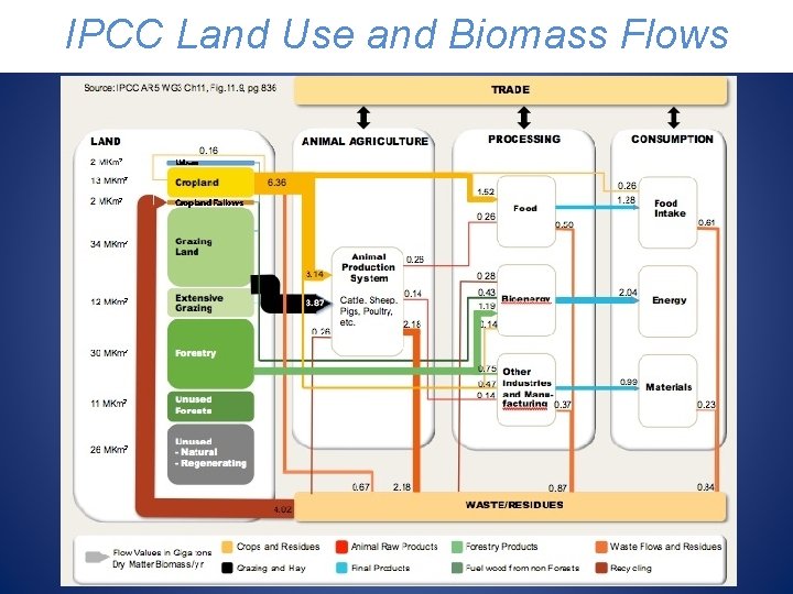 IPCC Land Use and Biomass Flows 