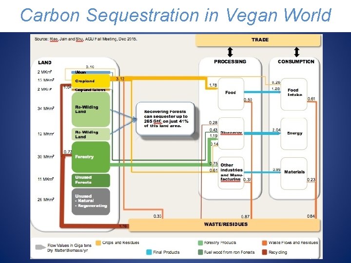 Carbon Sequestration in Vegan World 