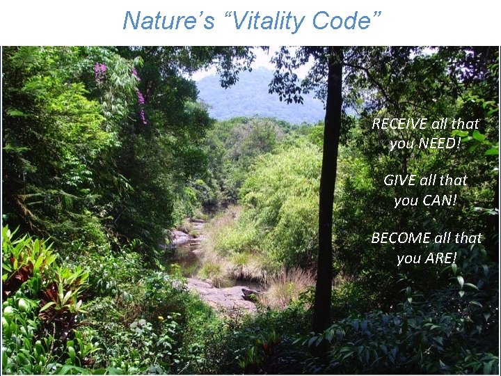 Nature’s “Vitality Code” RECEIVE all that you NEED! GIVE all that you CAN! BECOME