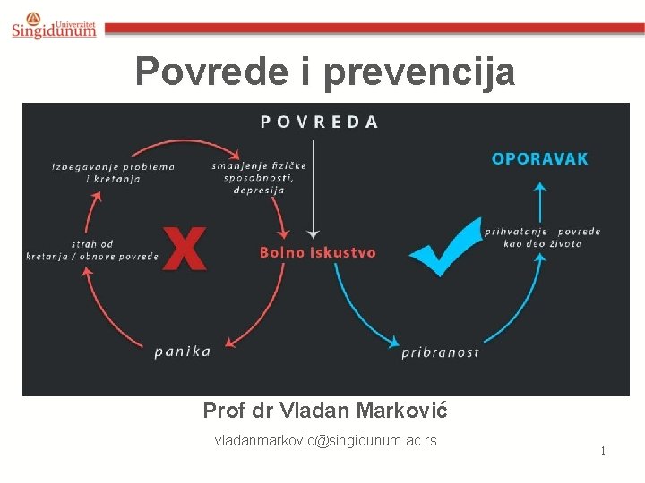 Povrede i prevencija Prof dr Vladan Marković vladanmarkovic@singidunum. ac. rs 1 