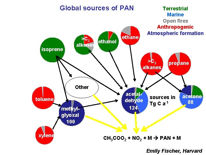 Global sources of PAN isoprene >C 2 ethanol alkenes Terrestrial Marine Open fires Anthropogenic