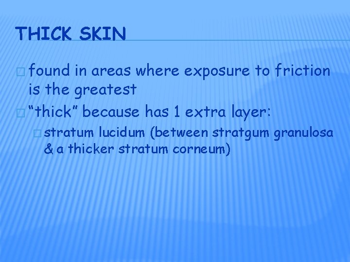 THICK SKIN � found in areas where exposure to friction is the greatest �