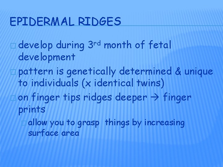 EPIDERMAL RIDGES � develop during 3 rd month of fetal development � pattern is