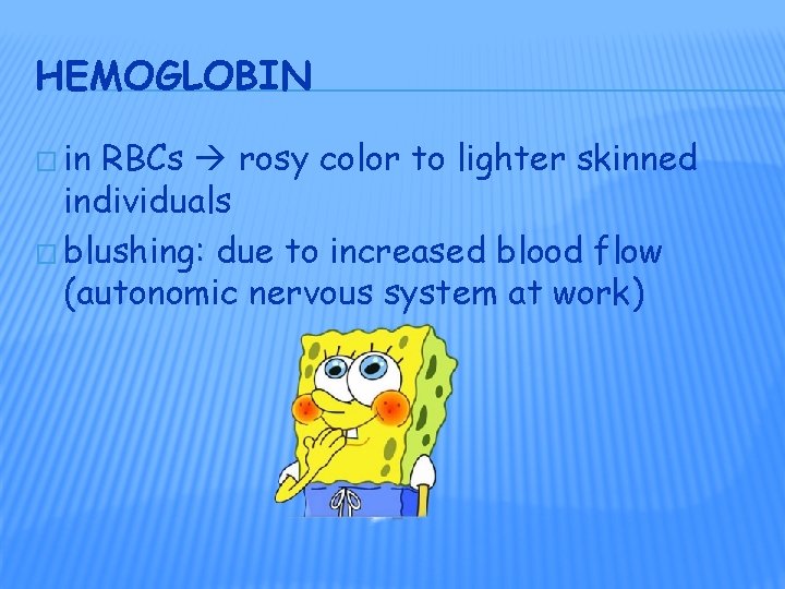 HEMOGLOBIN � in RBCs rosy color to lighter skinned individuals � blushing: due to