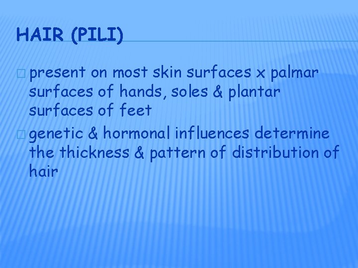 HAIR (PILI) � present on most skin surfaces x palmar surfaces of hands, soles