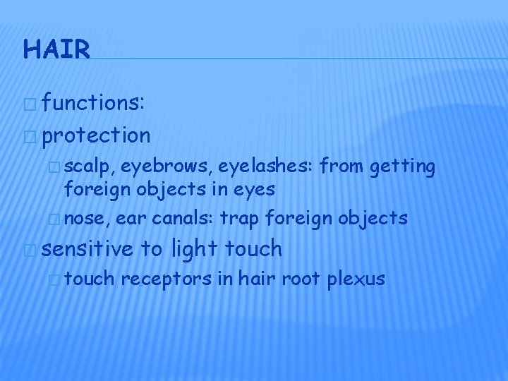 HAIR � functions: � protection � scalp, eyebrows, eyelashes: from getting foreign objects in