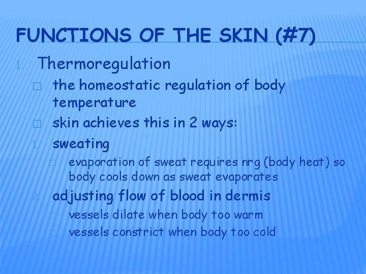 FUNCTIONS OF THE SKIN (#7) 1. Thermoregulation � � 1. the homeostatic regulation of