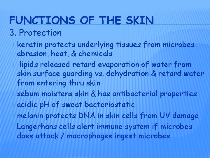 FUNCTIONS OF THE SKIN 3. Protection � � � keratin protects underlying tissues from