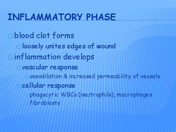 INFLAMMATORY PHASE � blood clot forms � loosely unites edges of wound � inflammation