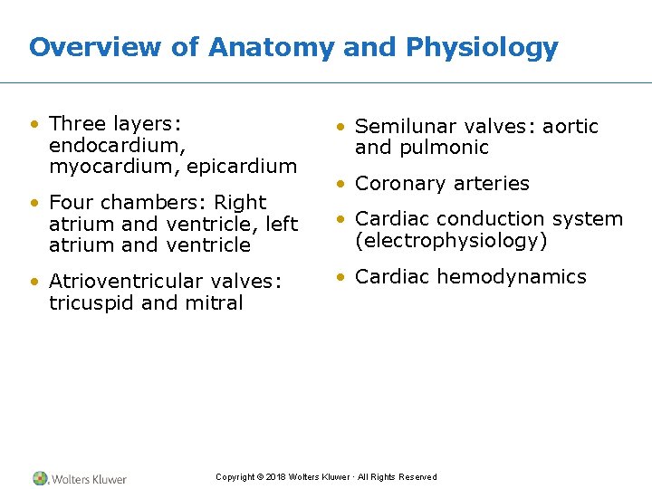 Overview of Anatomy and Physiology • Three layers: endocardium, myocardium, epicardium • Semilunar valves: