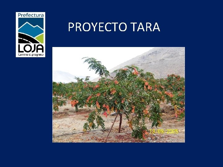 PROYECTO TARA 