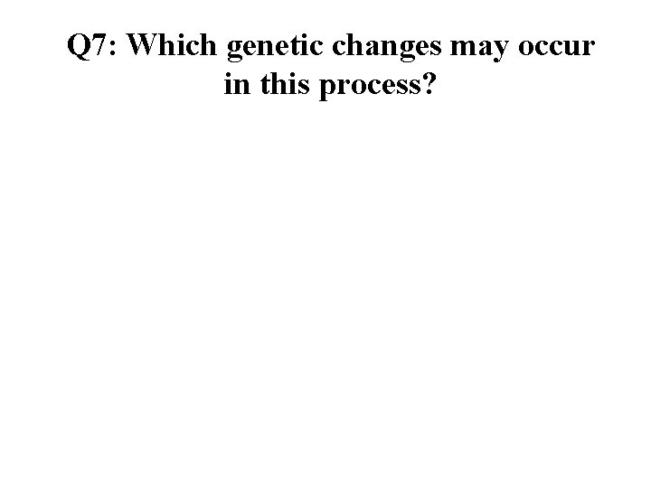 Q 7: Which genetic changes may occur in this process? 