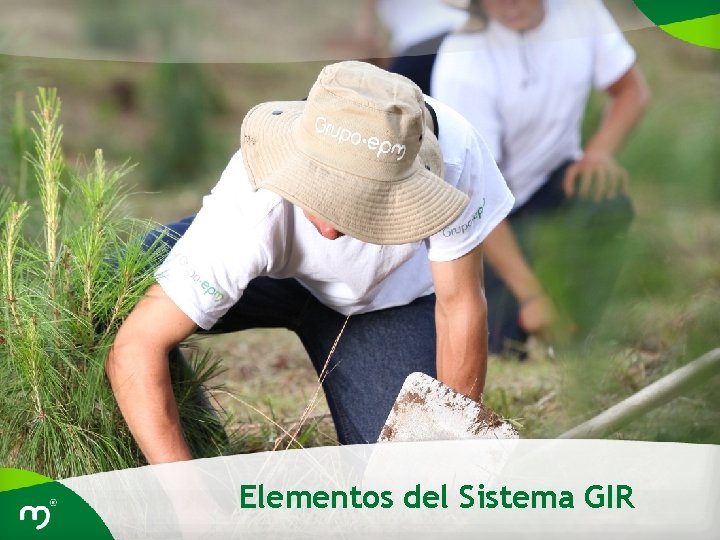 Elementos del Sistema GIR 