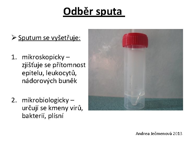 Odběr sputa Ø Sputum se vyšetřuje: 1. mikroskopicky – zjišťuje se přítomnost epitelu, leukocytů,