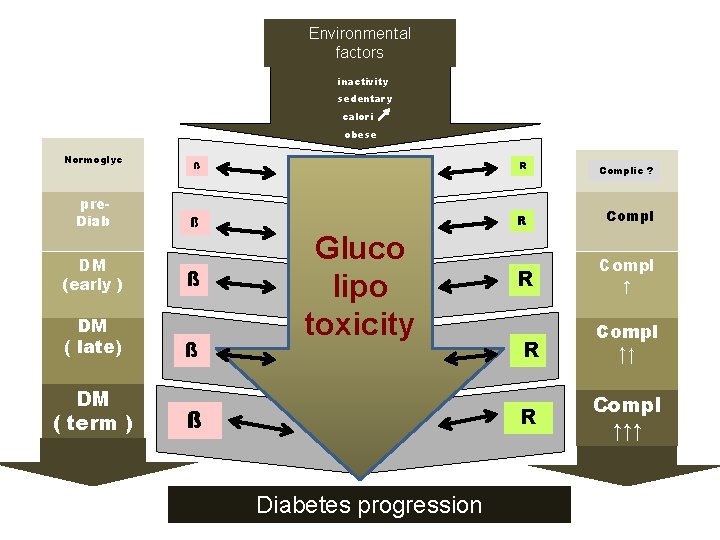 Environmental factors inactivity sedentary calori obese Normoglyc pre. Diab DM (early ) DM ( Environmental factors inactivity sedentary calori obese Normoglyc pre. Diab DM (early ) DM (