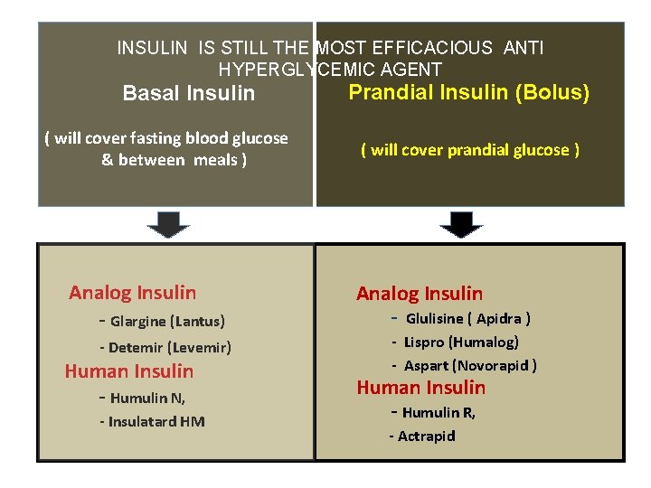 INSULIN IS STILL THE MOST EFFICACIOUS ANTI HYPERGLYCEMIC AGENT Basal Insulin ( will cover