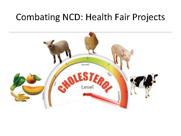 Combating NCD: Health Fair Projects 