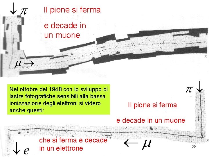 Il pione si ferma e decade in un muone Nel ottobre del 1948 con