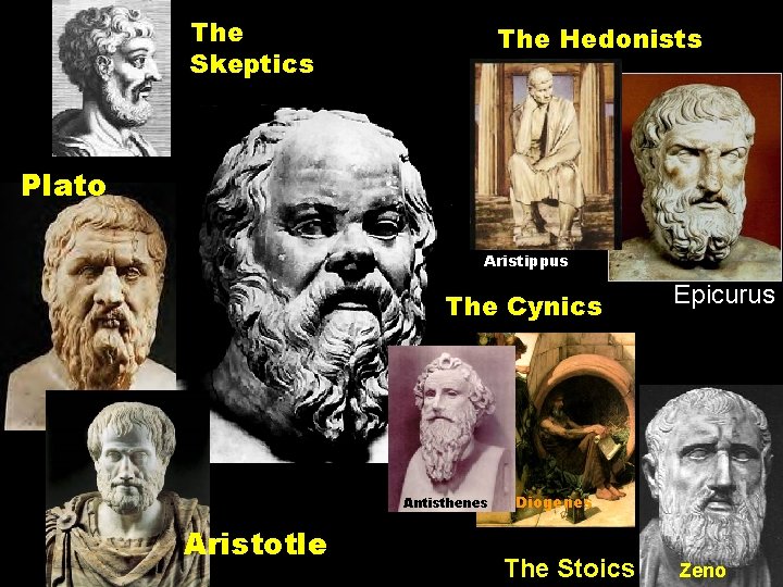 The Skeptics The Hedonists Plato Aristippus The Cynics Antisthenes Aristotle Epicurus Diogenes The Stoics