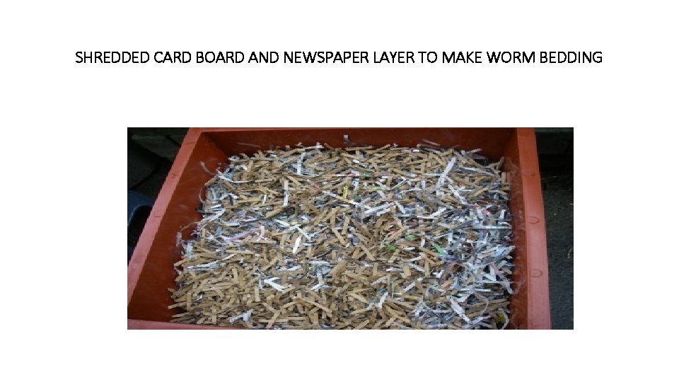 SHREDDED CARD BOARD AND NEWSPAPER LAYER TO MAKE WORM BEDDING 