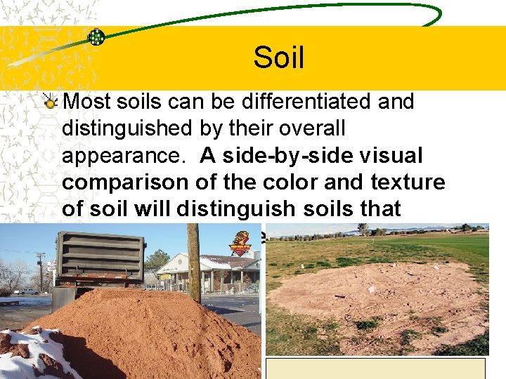 Soil Most soils can be differentiated and distinguished by their overall appearance. A side-by-side