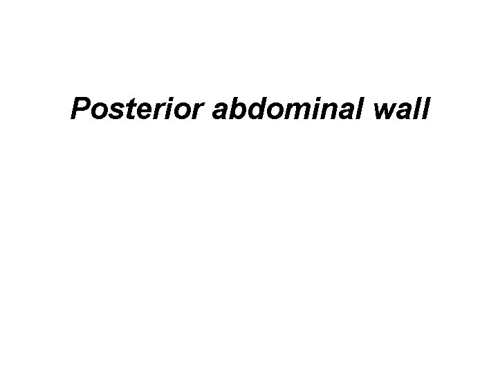 Posterior abdominal wall 