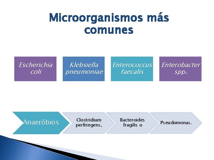 Microorganismos más comunes Escherichia coli Anaeróbios Klebsiella pneumoniae Clostridium perfringens, Enterococcus faecalis Bacteroides fragilis