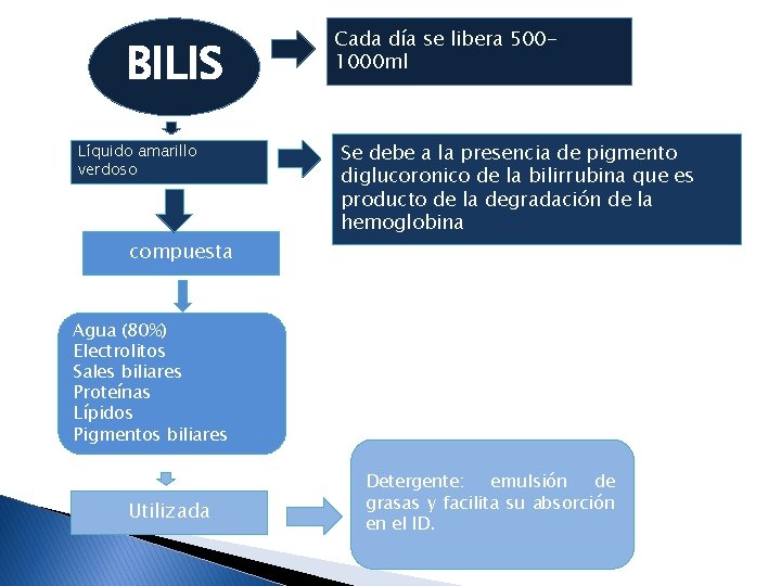 BILIS Líquido amarillo verdoso compuesta Cada día se libera 5001000 ml Se debe a