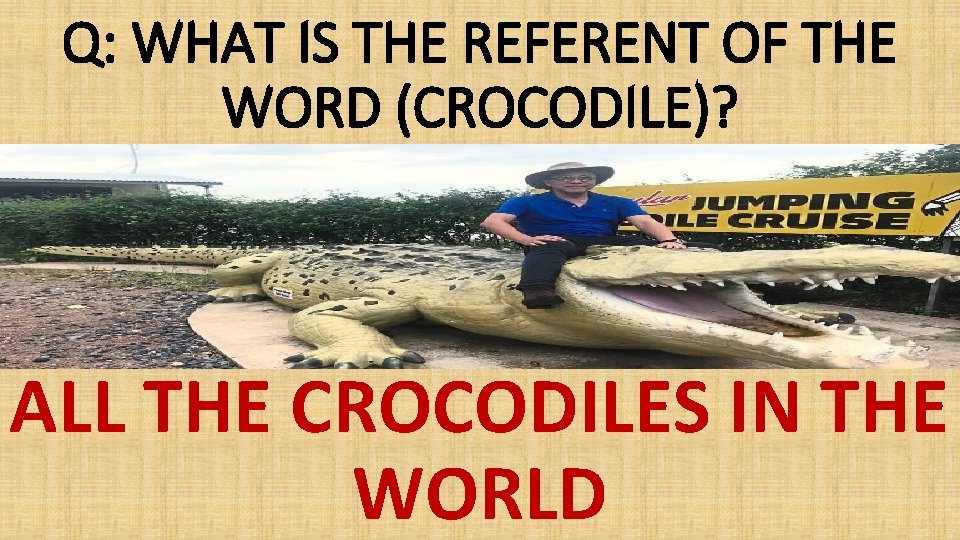 Q: WHAT IS THE REFERENT OF THE WORD (CROCODILE)? ALL THE CROCODILES IN THE