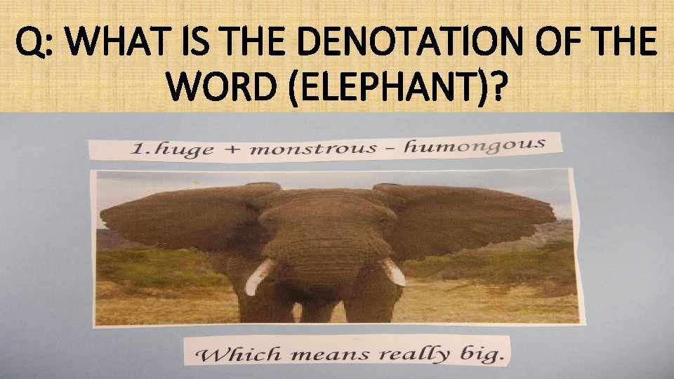 Q: WHAT IS THE DENOTATION OF THE WORD (ELEPHANT)? 