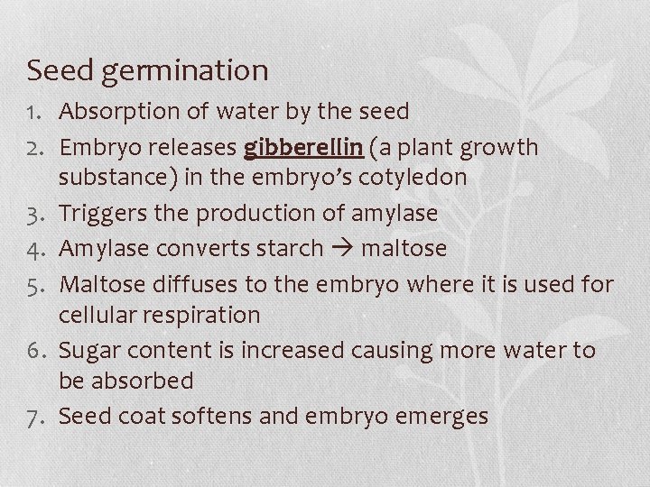 Seed germination 1. Absorption of water by the seed 2. Embryo releases gibberellin (a