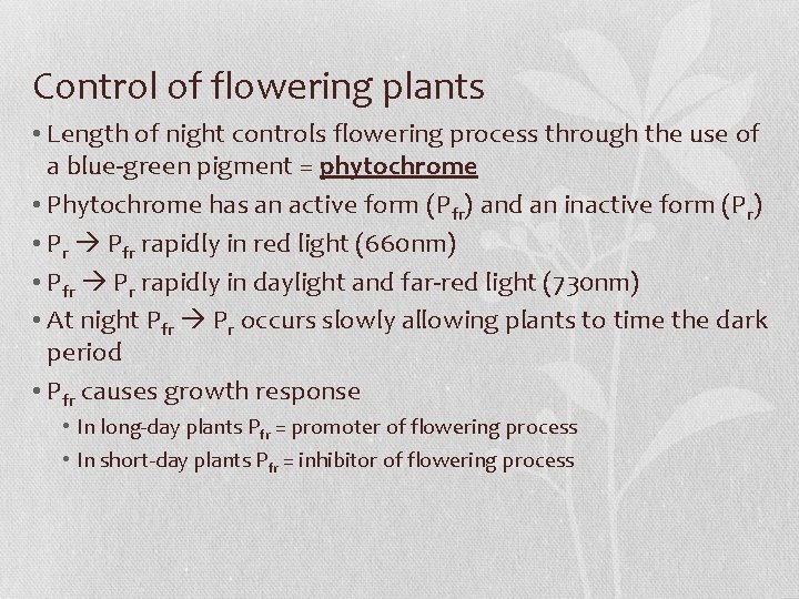 Control of flowering plants • Length of night controls flowering process through the use