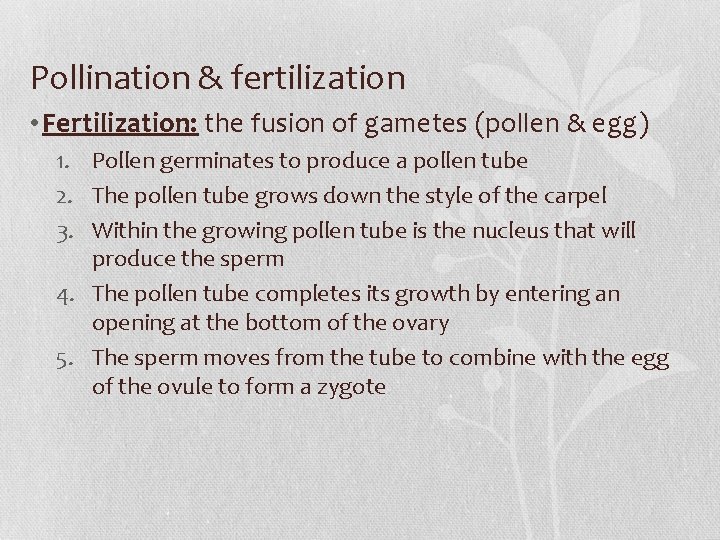Pollination & fertilization • Fertilization: the fusion of gametes (pollen & egg) 1. Pollen