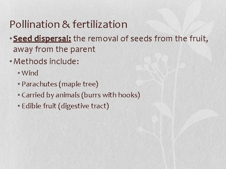 Pollination & fertilization • Seed dispersal: the removal of seeds from the fruit, away