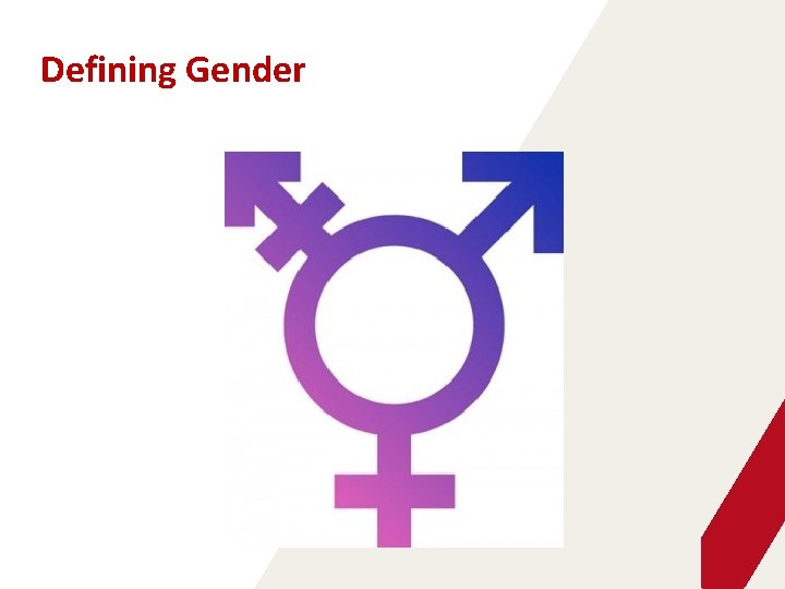 Defining Gender 