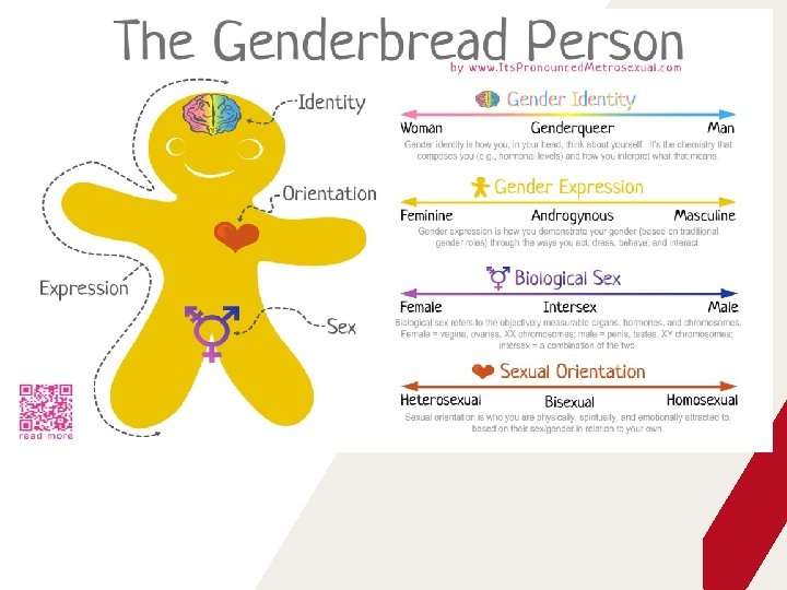 Challenging gender identity sexual orientation stereotypes when working