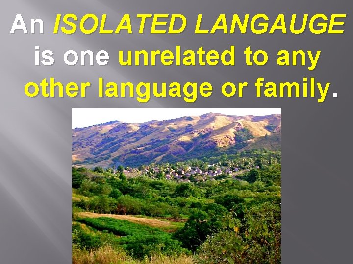 An ISOLATED LANGAUGE is one unrelated to any other language or family. 