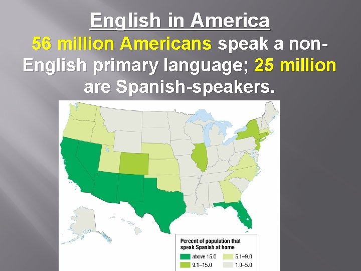 English in America 56 million Americans speak a non. English primary language; 25 million