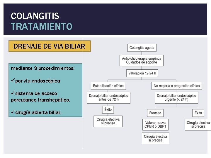 COLANGITIS TRATAMIENTO DRENAJE DE VIA BILIAR mediante 3 procedimientos: üpor vía endoscópica üsistema de