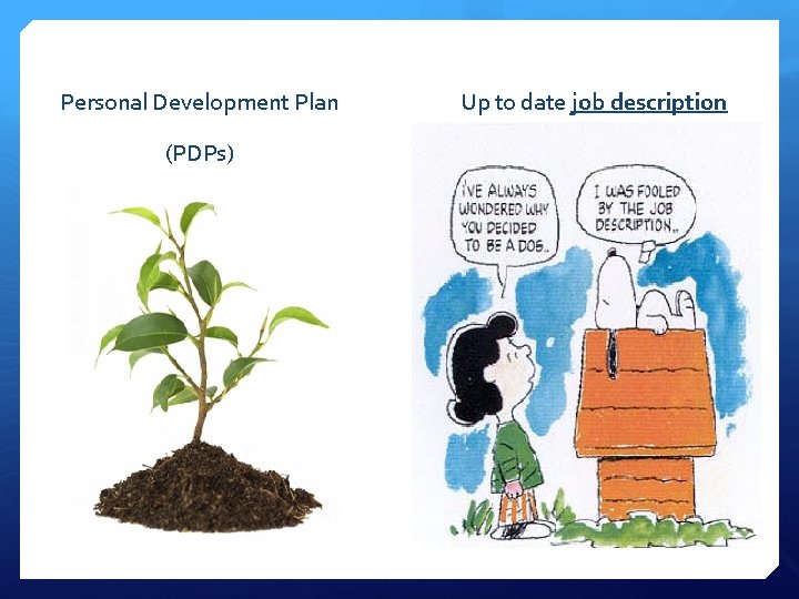 Personal Development Plan (PDPs) Up to date job description 
