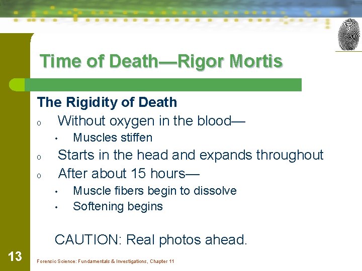 Time of Death—Rigor Mortis The Rigidity of Death o Without oxygen in the blood—
