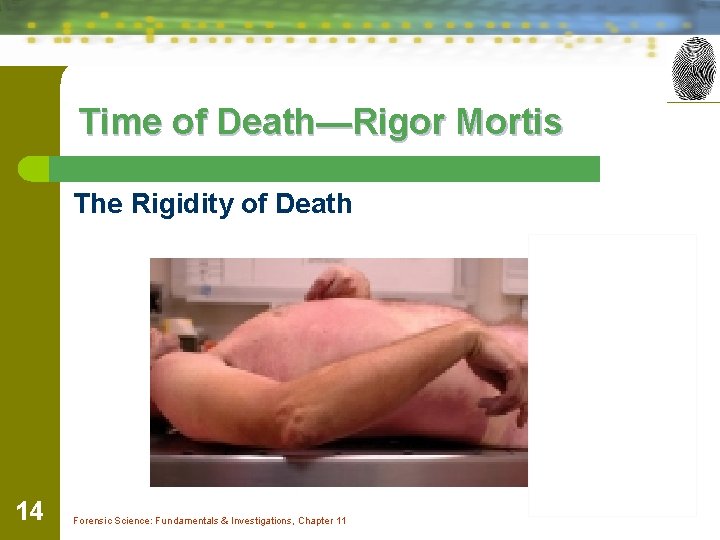 Time of Death—Rigor Mortis The Rigidity of Death 14 Forensic Science: Fundamentals & Investigations,