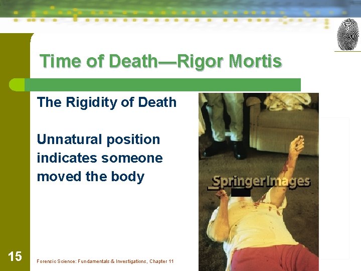 Time of Death—Rigor Mortis The Rigidity of Death Unnatural position indicates someone moved the