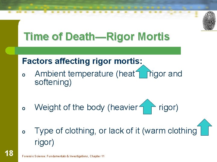 Time of Death—Rigor Mortis Factors affecting rigor mortis: 18 o Ambient temperature (heat softening)