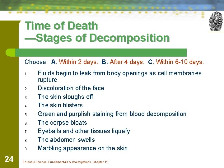 Time of Death —Stages of Decomposition Choose: A. Within 2 days. B. After 4