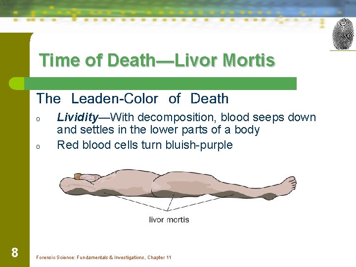 Time of Death—Livor Mortis The Leaden-Color of Death o o 8 Lividity—With decomposition, blood