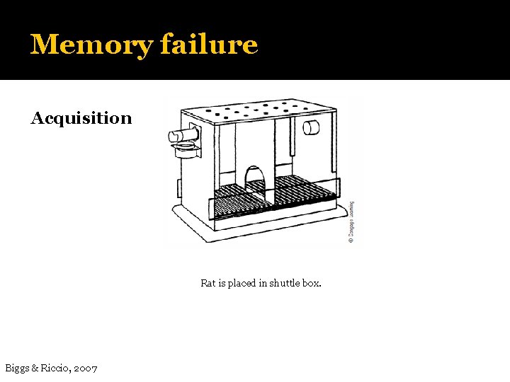 Memory failure Acquisition Rat is placed in shuttle box. Biggs & Riccio, 2007 