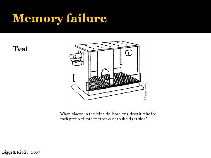 Memory failure Test When placed in the left side, how long does it take